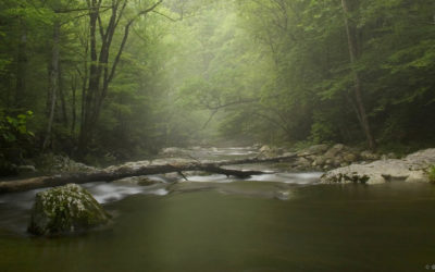 20070728185612-Smokey-Mountains-Tremont-1856-95.jpg