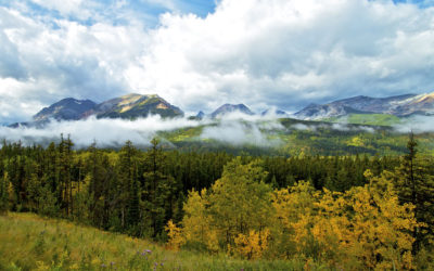 20100916121453 Alberta Canada